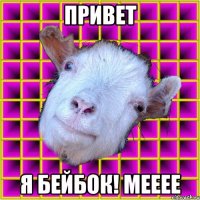 привет я бейбок! мееее