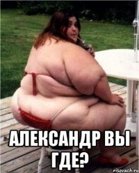  александр вы где?