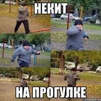 Некит на прогулке