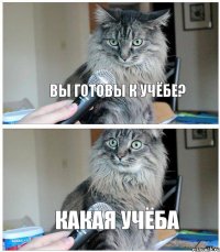 вы готовы к учёбе? какая учёба