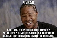 Чувак А еще мы встроили в этот сервак 2 монитора, чтобы когда сервак покроется пылью, пауки смогли смотреть фильмы