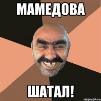 мамедова шатал!