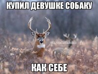 Купил девушке собаку как себе