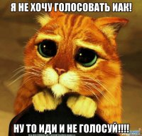 Я не хочу голосовать иак! Ну то иди и не голосуй!!!!