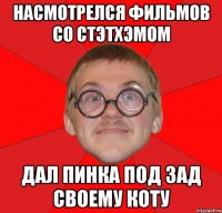 Насмотрелся фильмов со стэтхэмом Дал пинка под зад своему коту