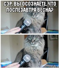 Сэр, Вы осознаёте, что послезавтра весна? 