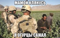 мамой клянусь я огурцы сажал