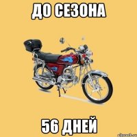 до сезона 56 дней