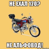 Не ехал 120? Не альфовод!