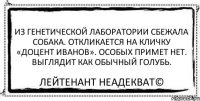 Из генетической лаборатории сбежала собака. Откликается на кличку «Доцент Иванов». Особых примет нет. Выглядит как обычный голубь. Лейтенант Неадекват©