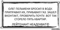 Олег пельмени бросил в воду. Приправил их, прибавил газ. Зашел ВКонтакт, проверить почту. Вот так сгорело пять квартир. Лейтенант Неадекват©