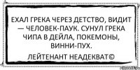 ехал грека через детство, видит — человек-паук. сунул грека чипа в дейла, покемоны, винни-пух. Лейтенант Неадекват©