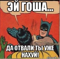 Эй Гоша... Да отвали ты уже нахуй!