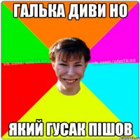 Галька диви но який гусак пішов