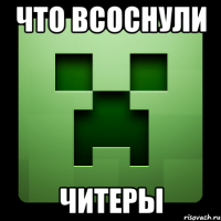 Что всоснули Читеры