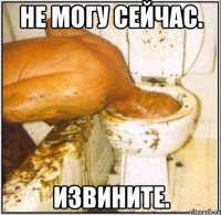 Не могу сейчас. Извините.