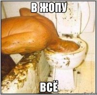 В жопу всё