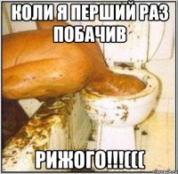 коли я перший раз побачив РИЖОГО!!!(((