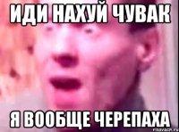 Иди нахуй чувак Я вообще черепаха