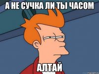 А не сучка ли ты часом Алтай