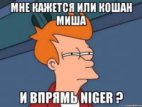 Мне кажется или Кошан Миша И впрямь NIGER ?