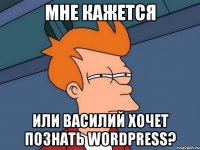 МНЕ КАЖЕТСЯ ИЛИ ВАСИЛИЙ ХОЧЕТ ПОЗНАТЬ WORDPRESS?