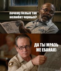 почему белые так нелюбят черных? ДА ТЫ МРАЗЬ ЖЕ ЕБАНАЯ)