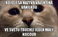 když Leša nazývá Valentina vanilkou Ve světu truchlí jeden malý kocour