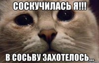 Соскучилась я!!! в Сосьву захотелось...