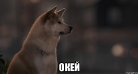  Окей