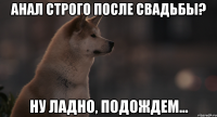 Анал строго после свадьбы? Ну ладно, подождем...