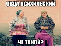 Овца психический Че такой?