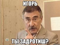 Игорь ты задротиш?