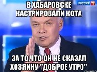 В Хабаровске кастрировали кота За то,что он не сказал хозяину "Доброе утро"