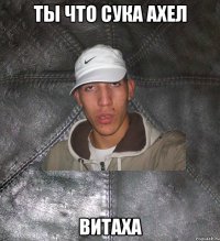 Ты что сука ахел ВИТАХА