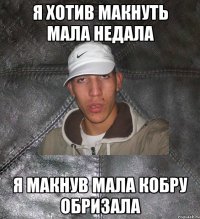 я хотив макнуть мала недала я макнув мала кобру обризала