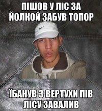 пішов у ліс за йолкой забув топор їбанув з вертухи пів лісу завалив