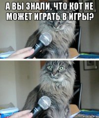 А вы знали, что кот не может играть в игры? 