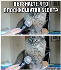 вы знаете, что плоские шутки бесят? 