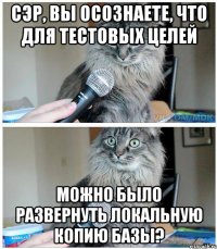 Сэр, вы осознаете, что для тестовых целей можно было развернуть локальную копию базы?