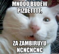 Mnoqo budew pizdetttt, Za zambiruyu ncncncnc