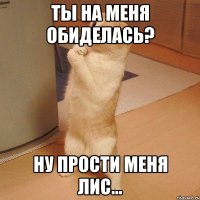 Ты на меня обиделась? Ну прости меня Лис...