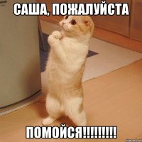 Саша, пожалуйста ПОМОЙСЯ!!!!!!!!!