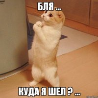 Бля ... Куда я шел ? ...