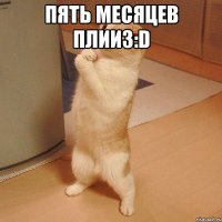 пять месяцев плииз:D 