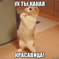 ух ты какая красавица!