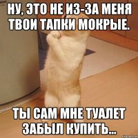 Ну, это не из-за меня твои тапки мокрые. Ты сам мне туалет забыл купить...