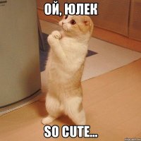 Ой, Юлек So cute...