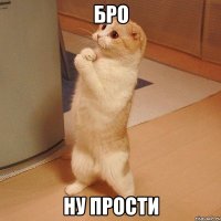 Бро ну прости