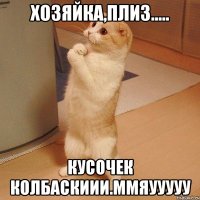 хозяйка,плиз..... кусочек КОЛБАСКИИИ.ММЯУУУУУ